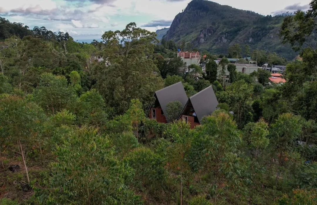Wild Bee Hostel-1