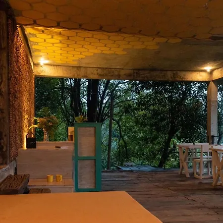 Wild Bee Hostel-3